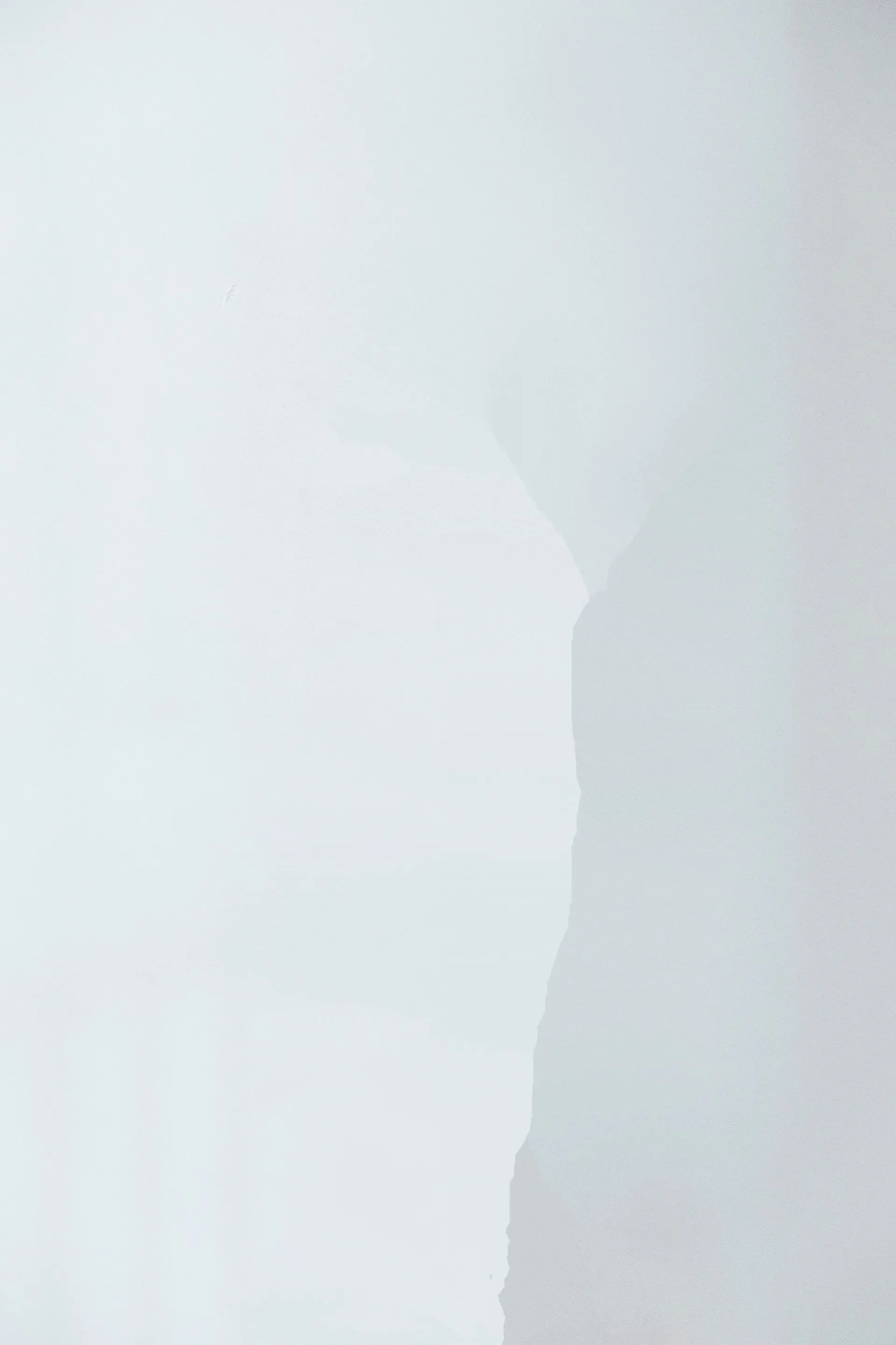 Fondo blanco