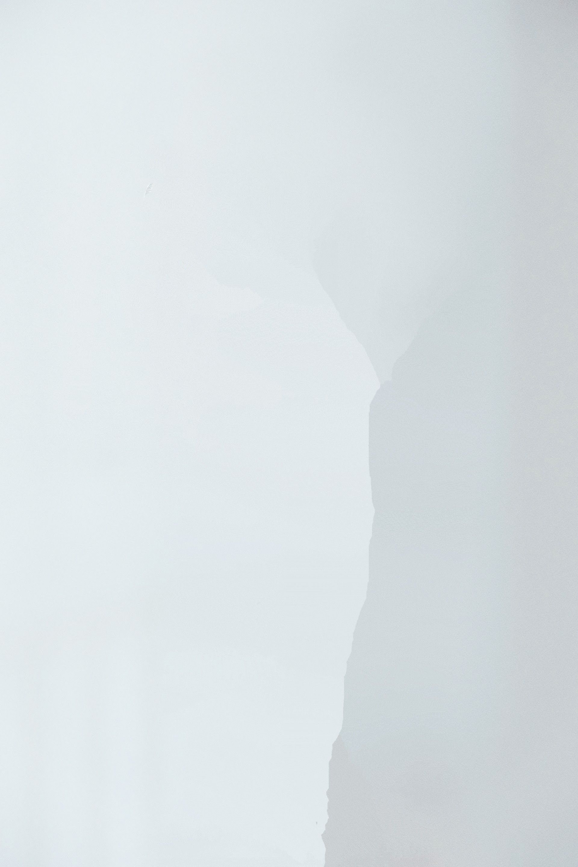 Fondo blanco